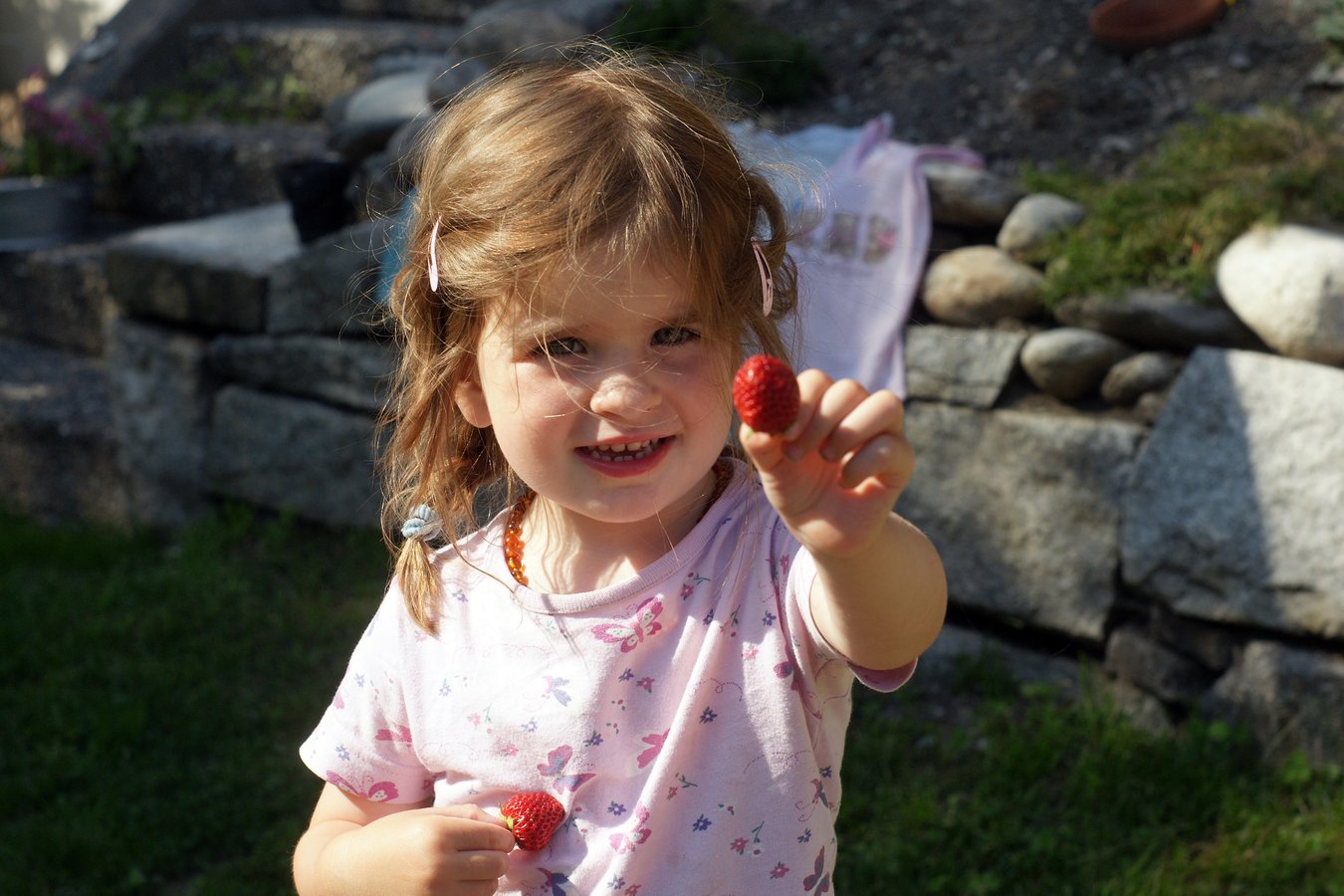 Mmmh Erdbeeren!