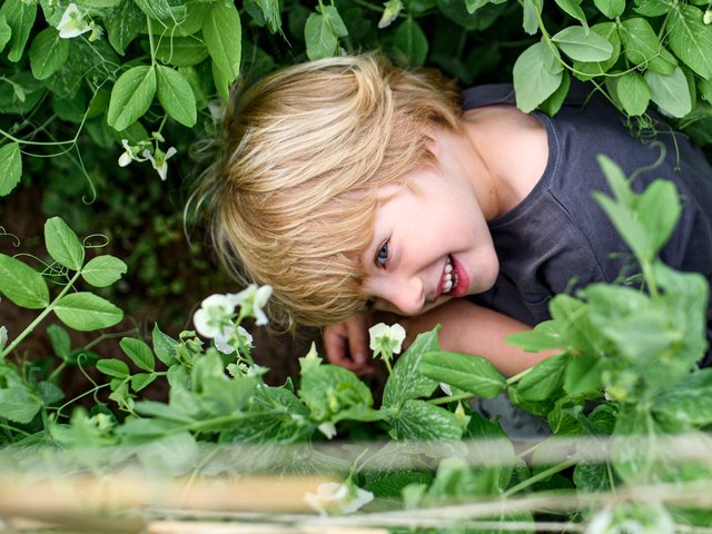 Versteck im Garten