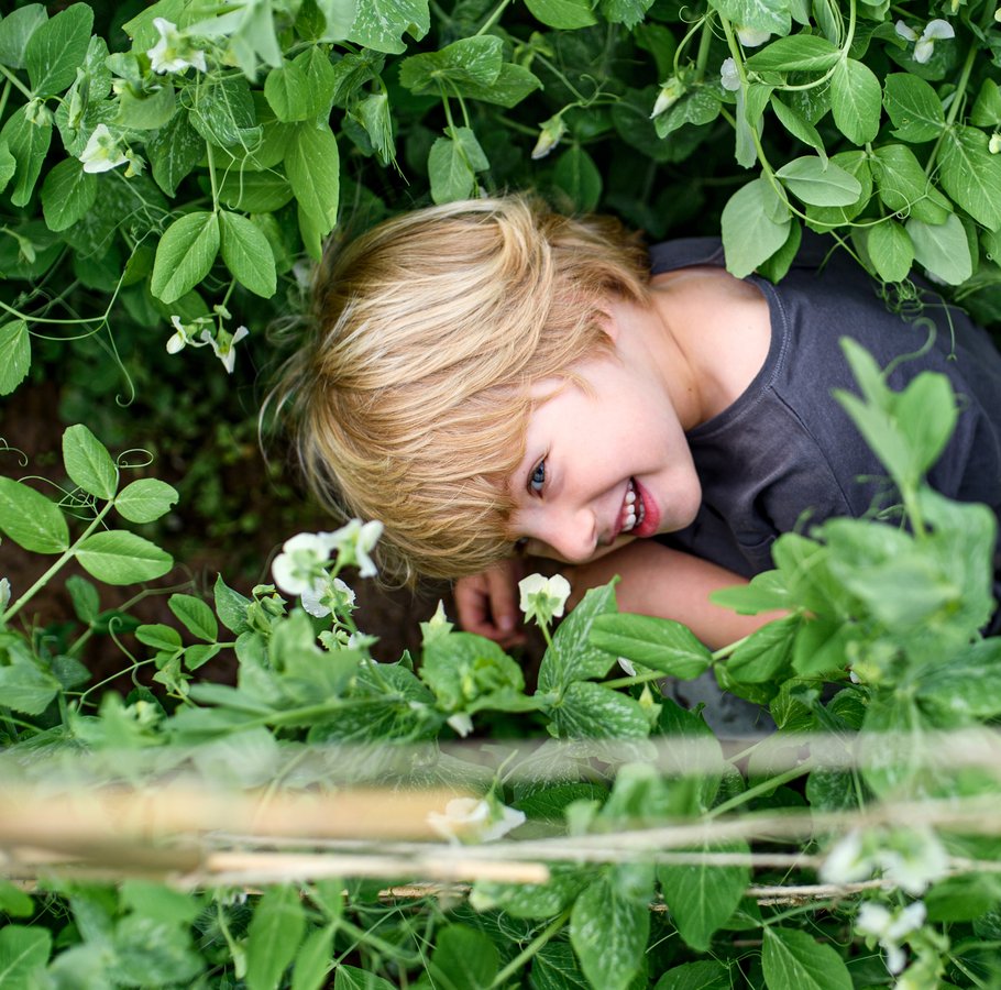 Versteck im Garten