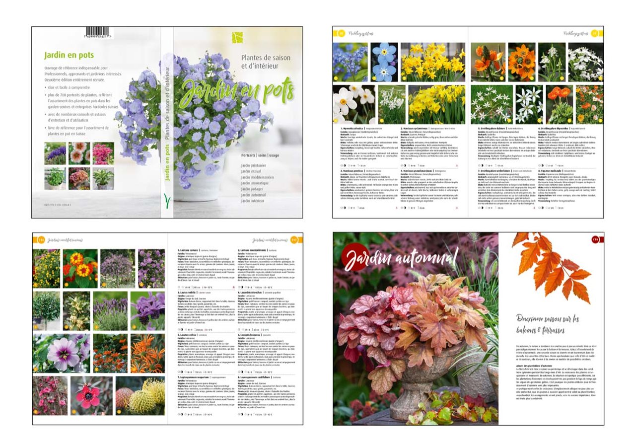 Jardin en pots