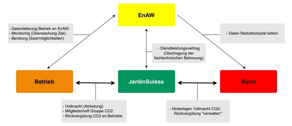 Gruppenlösung: Organisationsstruktur