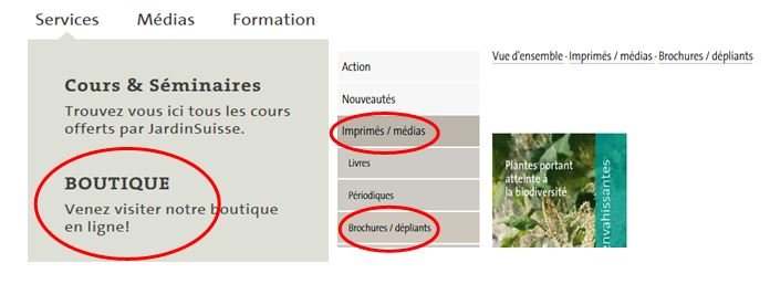 Invasive Neophyten bestellen fr