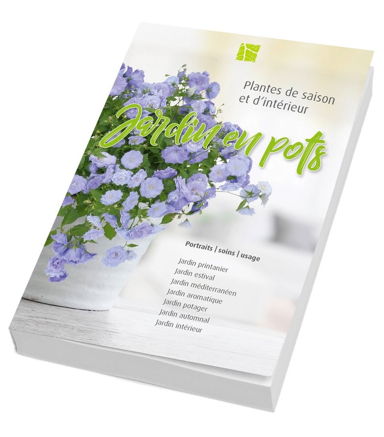 Jardin en pot