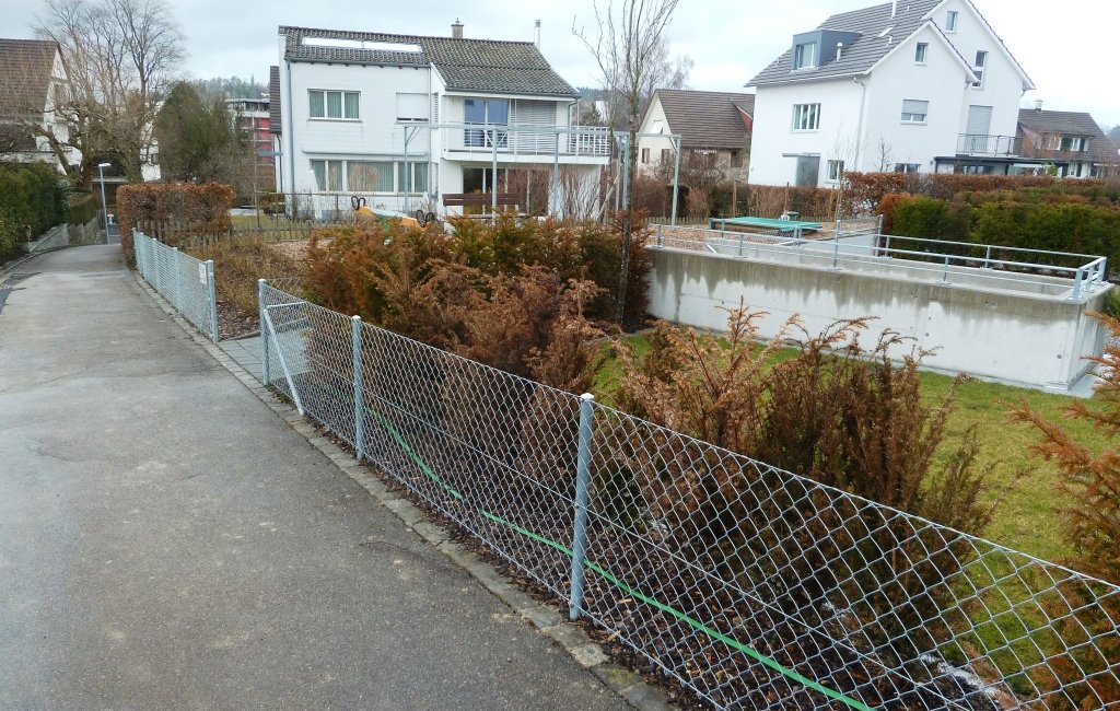Bepflanzung Gartenbau Tannen