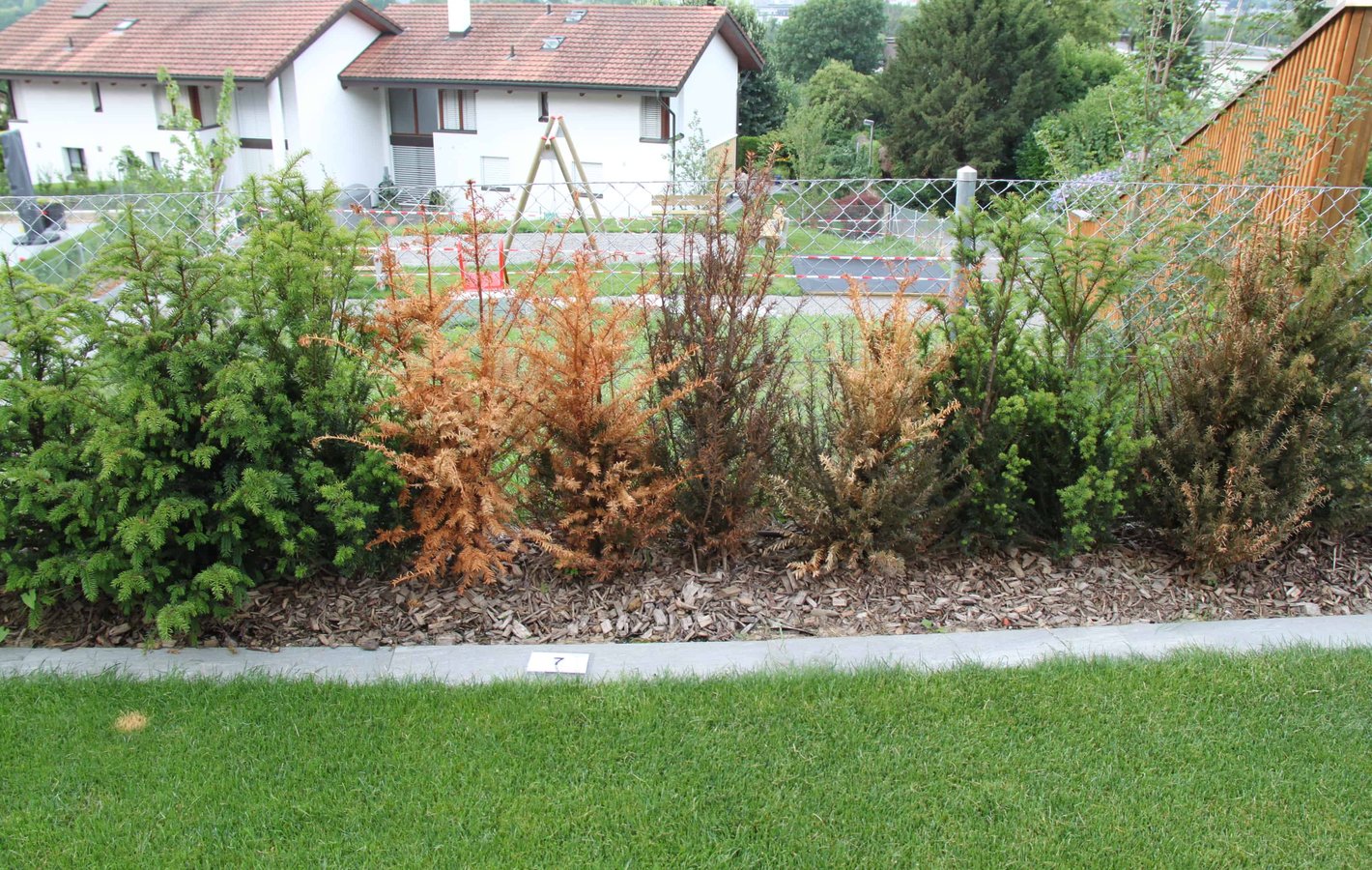 Bepflanzung Garten Gutachten einholen