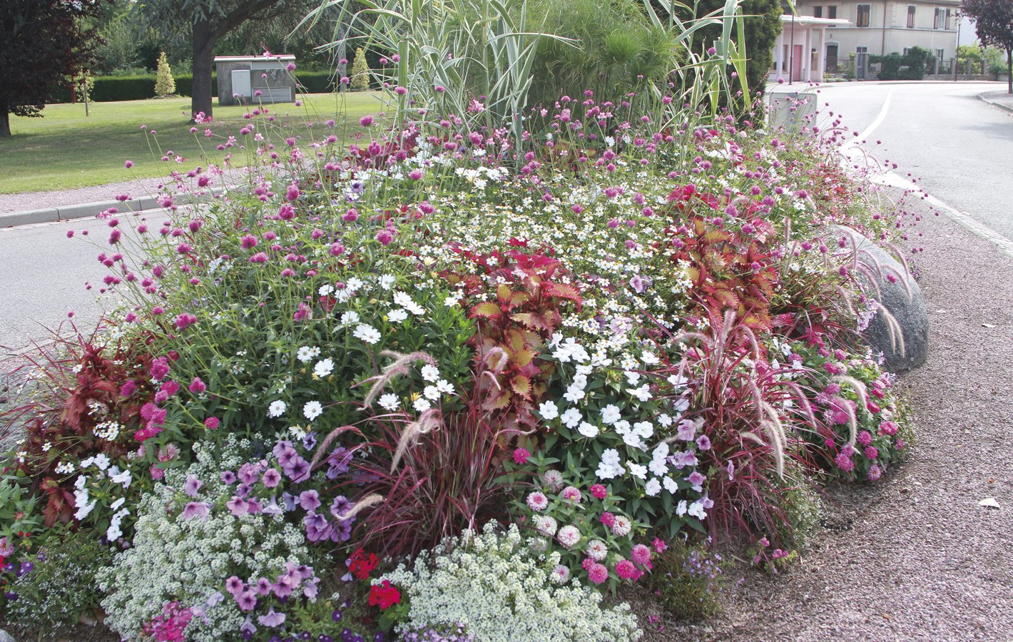 bidens