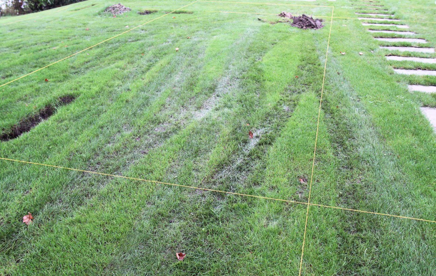 Fehler im Gartenbau Gutachter