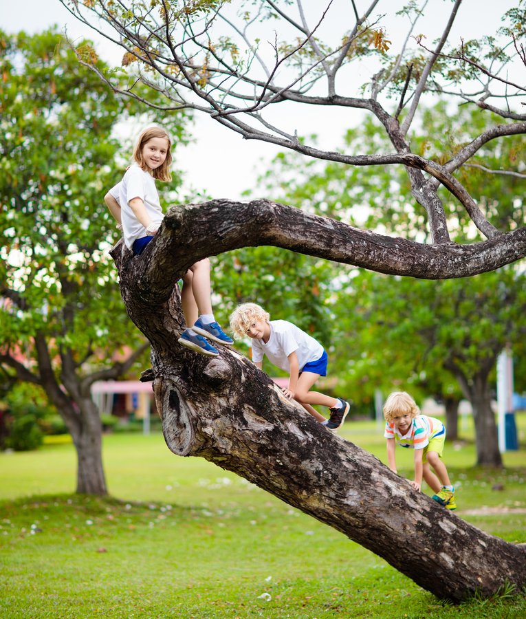 Spielplatz der Fantasie