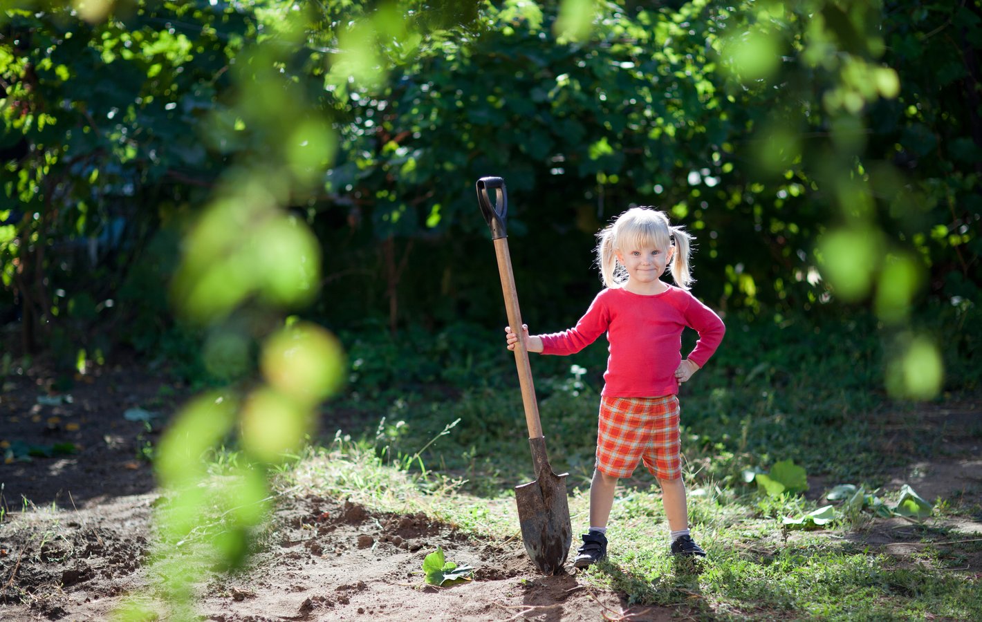 Kinderleichtes gärtnern