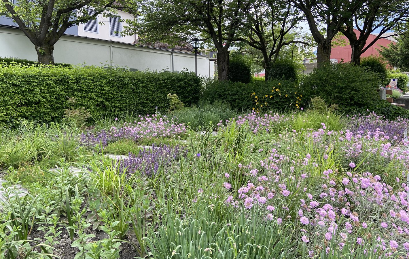 Friedhof Landquart2