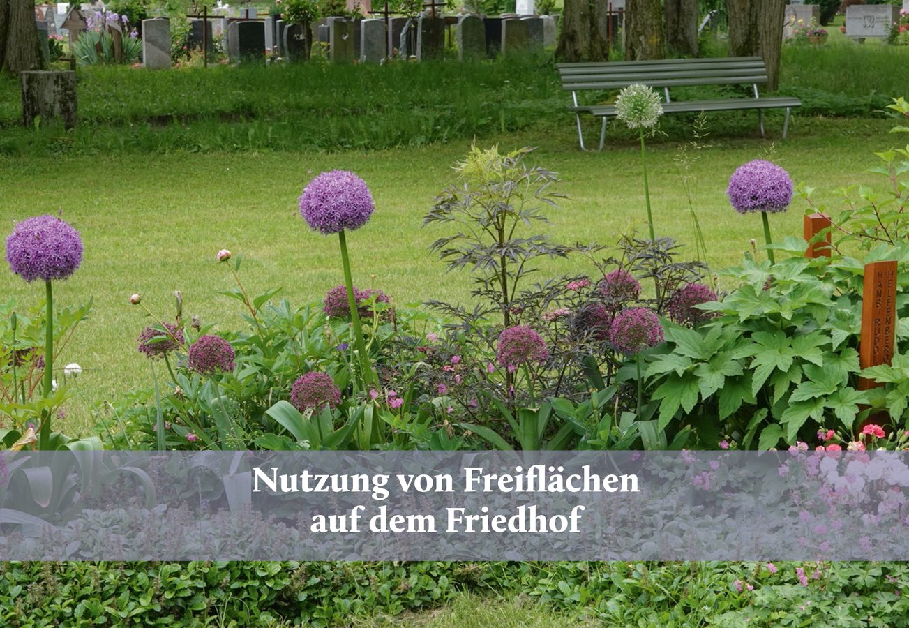 Titelseite Flyer Freiflächen